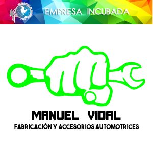 Manuel Vidal