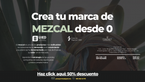 Crea tu marca de mezcal desde 0